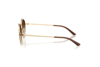 Seitenansicht Emporio Armani EA2177 (344113)