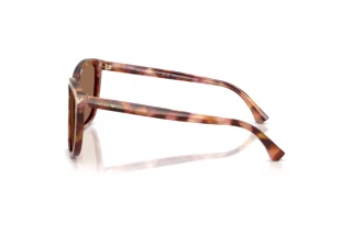 Seitenansicht Emporio Armani EA4060 (619673)