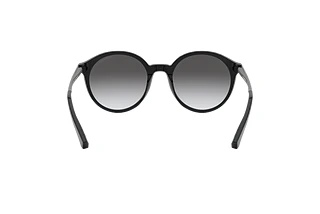 Rückansicht Emporio Armani EA4134 (501711)