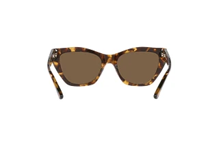 Rückansicht Emporio Armani EA4176 (502573)