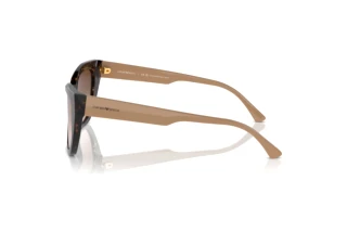 Seitenansicht Emporio Armani EA4176 (587913)