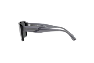 Seitenansicht Emporio Armani EA4186 (501787)