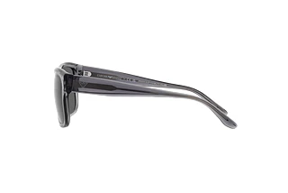 Seitenansicht Emporio Armani EA4197 (502987)