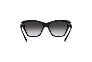 Rückansicht Emporio Armani EA4203U (50178G)