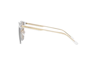 Seitenansicht Emporio Armani EA4206D (5893/3)