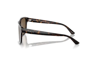 Seitenansicht Emporio Armani EA4208 (605273)