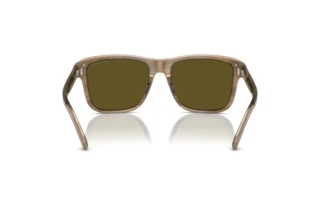 Rückansicht Emporio Armani EA4208 (605573)