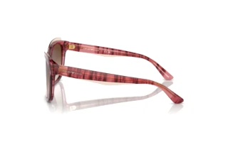 Seitenansicht Emporio Armani EA4209 (605713)