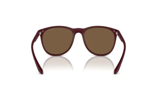 Rückansicht Emporio Armani EA4210 (526173)