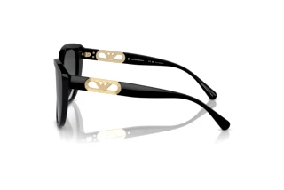 Seitenansicht Emporio Armani EA4214U (50178G)