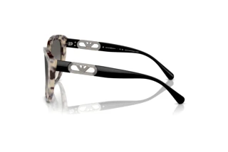 Seitenansicht Emporio Armani EA4214U (605811)