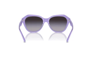 Rückansicht Emporio Armani EA4221 (61178G)