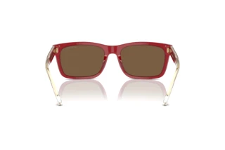 Rückansicht Emporio Armani EA4224 (609373)