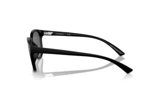 Seitenansicht Emporio Armani EA4225U (500187)