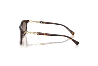 Seitenansicht Emporio Armani EA4238 (50266I)