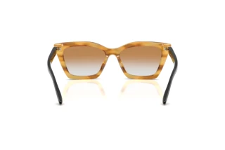 Rückansicht Emporio Armani EA4250U (62692Q)