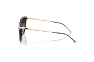 Seitenansicht Emporio Armani EA4251 (62628G)