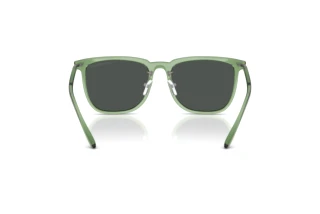 Rückansicht Emporio Armani EA4255D (536287)