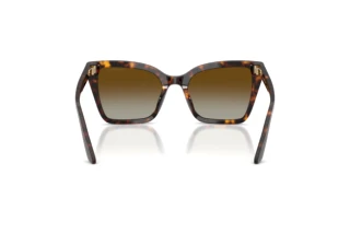 Rückansicht Emporio Armani EA4273BU (5026T5)