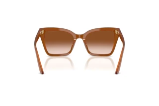 Rückansicht Emporio Armani EA4273BU (637613)