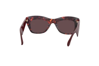 Rückansicht Etro ETRO 0004/G/S (086/U1)