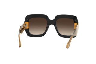 Rückansicht Etro ETRO 0011/S (71C/HA)