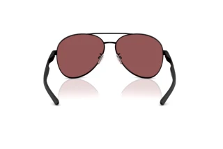 Rückansicht Ferrari Scuderia FZ5002D (101/1E)