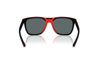 Rückansicht Ferrari Scuderia FZ6013D (504/81)