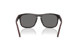 Rückansicht Ferrari Scuderia FZ6020U (742/81)