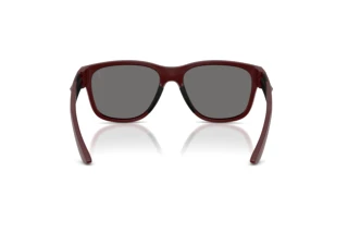 Rückansicht Ferrari Scuderia FZ6028U (530/81)