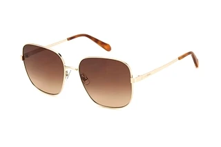 Fossil FOS 2133/G/S 06J/HA