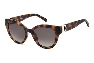 Fossil FOS 2162/G/S C9B/HA BROWN SHADEDHAVANNA