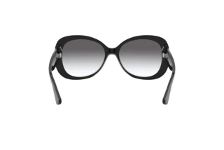 Rückansicht Giorgio Armani AR8132 (500111)