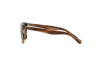 Seitenansicht Giorgio Armani AR8149 (590058)