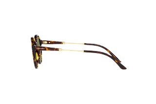 Seitenansicht Giorgio Armani AR8160 (50262A)