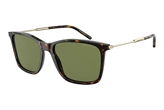 Vorderansicht Giorgio Armani AR8176 (50262A)