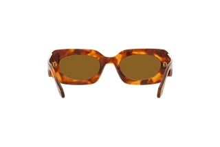 Rückansicht Giorgio Armani AR8182 (598833)