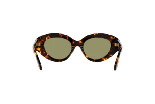 Rückansicht Giorgio Armani AR8188 (599314)