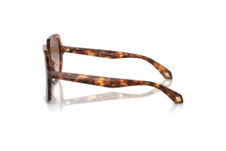 Seitenansicht Giorgio Armani AR8193U (603351)