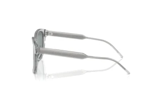 Seitenansicht Giorgio Armani AR8210U (608056)