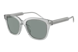 Giorgio Armani AR8210U 608056