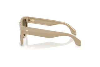 Seitenansicht Giorgio Armani AR8223 (61618E)