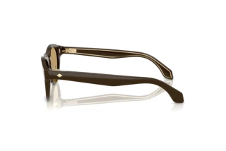 Seitenansicht Giorgio Armani AR8225 (619473)