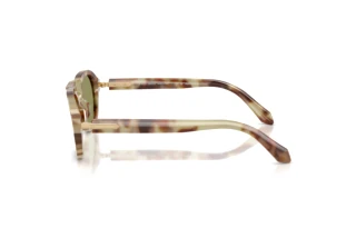 Seitenansicht Giorgio Armani AR8244 (629914)