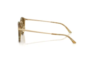 Seitenansicht Giorgio Armani AR8250 (630073)