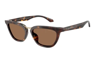 Vorderansicht Giorgio Armani AR8253U (612473)