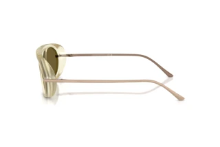 Seitenansicht Giorgio Armani AR8256 (6409O8)