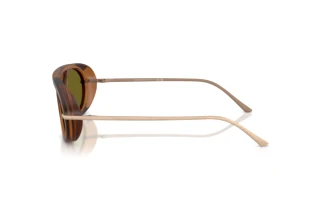 Seitenansicht Giorgio Armani AR8256 (6410/2)