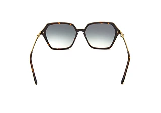 Rückansicht Guido Maria Kretschmer Baikal Sun (02)