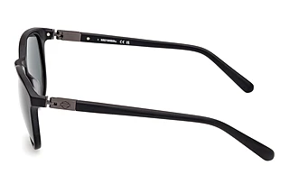 Seitenansicht Harley-Davidson HD00019 (02N)